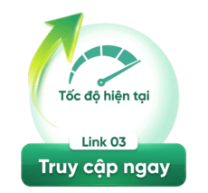 Link 3