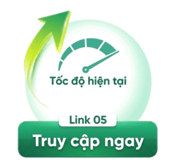 Link 5