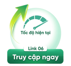Link 6
